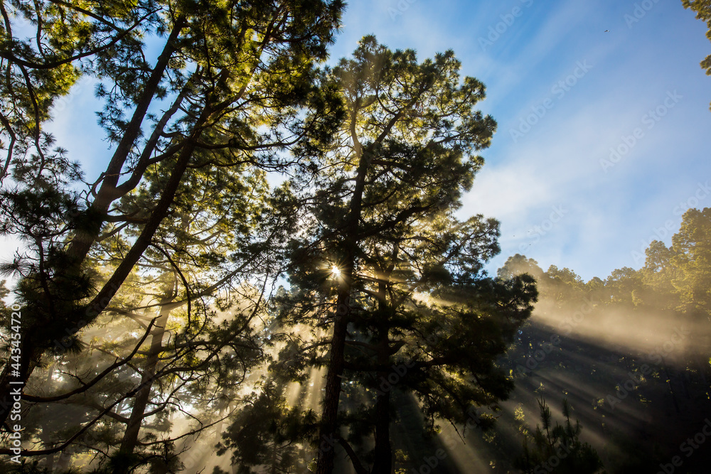 Naklejka premium Spring sunset in Caldera De Taburiente Nature Park, La Palma Island, Canary Islands, Spain