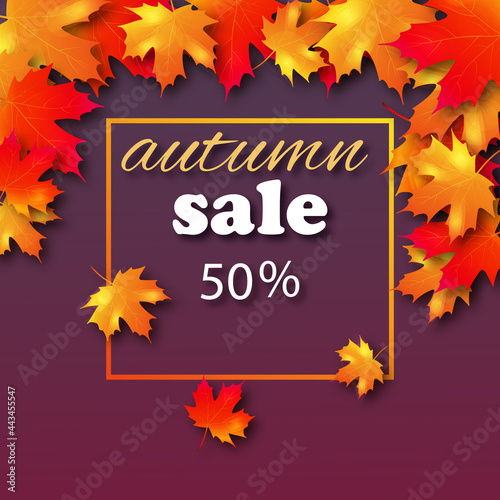 autumn sale 50 percent discount, frame, on a dark background