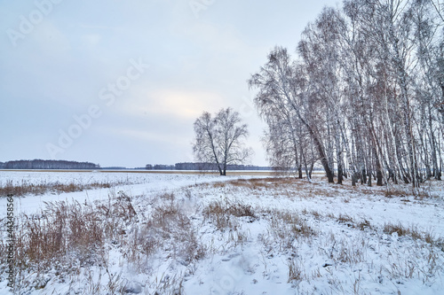 Field  meadow and grass with snow and cold cloudy sky. Beautiful winter landscape. Winter morning  day or evening