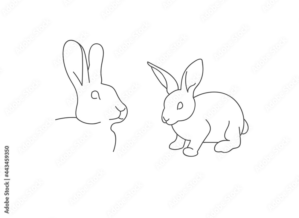 Vector linear illustration farm animal - rabbit isolated in white background.