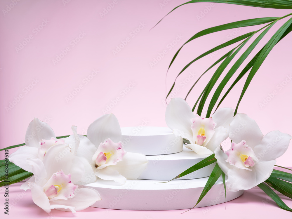 White geometric shapes podium for product display on pink background with orchid flowers and palm leaves. Monochrome stage, stand for product promotion in minimal style. Copy space for your design. White geometric shapes podium for product display on pink background with orchid flowers and palm leaves. Monochrome stage, stand for product promotion in minimal style. Copy space for your design.