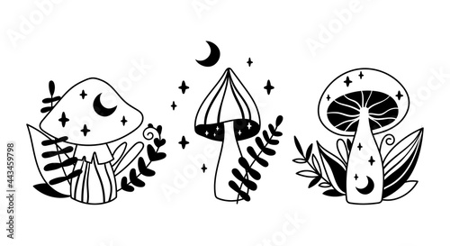 Boho mystical celestial mushrooms isolated cliparts set