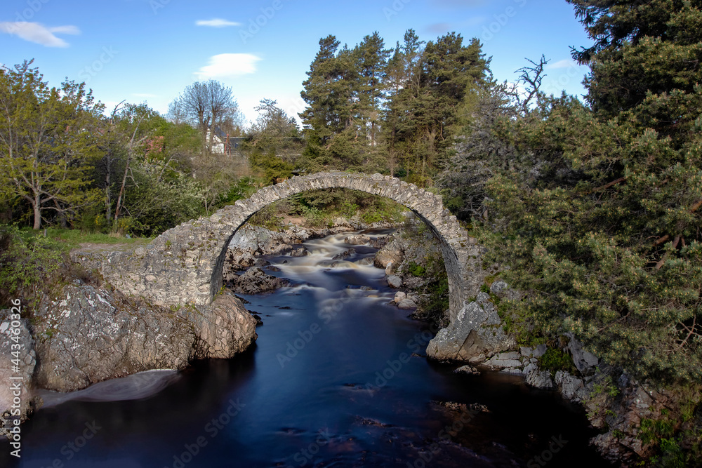 The Old Pack Horse Bridge in Carrbridge, Scottish Highlands, UK The Old Pack Horse Bridge in Carrbridge, Scottish Highlands, UK