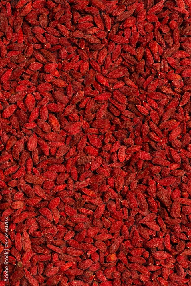 Red berries goji isolated on white background. Red berries goji isolated on white background.