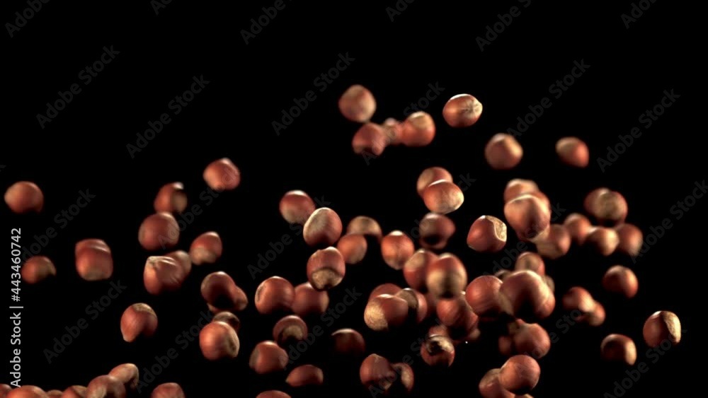 Super slow motion ripe hazelnuts rise up and fall. On a black background. Filmed on a high-speed camera at 1000 fps. Super slow motion ripe hazelnuts rise up and fall. On a black background. Filmed on a high-speed camera at 1000 fps.