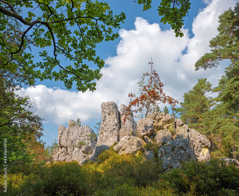 idyllic geological landscape, lower bavarian landmark and tourist destination Grosser Pfahl Viechtach