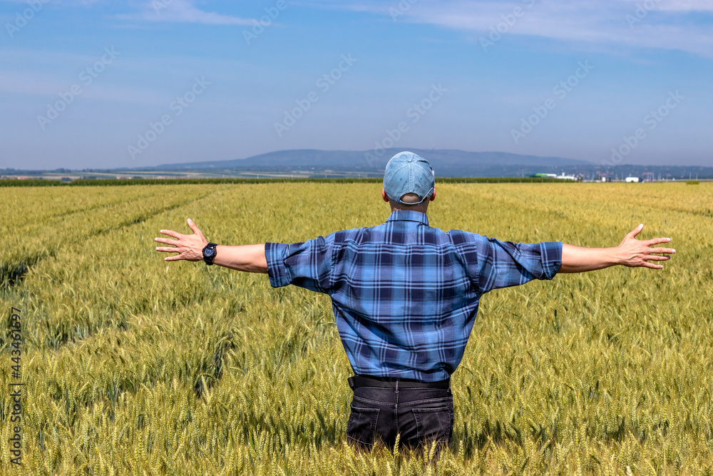 Farmer standing in a ripening wheat field looking at the sky above his head. Relationship between agronomy and weather forecast for yield estimation. Farmer standing in a ripening wheat field looking at the sky above his head. Relationship between agronomy and weather forecast for yield estimation.