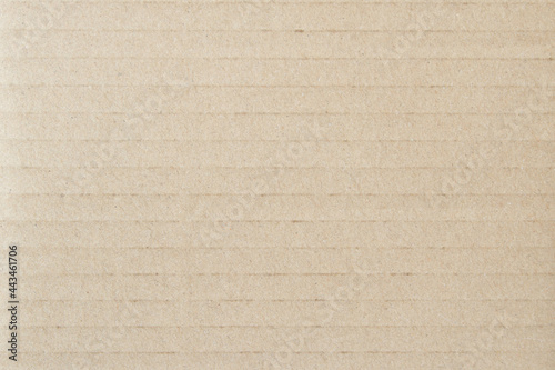 Frontal view of the surface of brown corrugated cardboard for packaging. The corrugations and channels are located horizontally. The image can be used as a texture or background. Copy space.