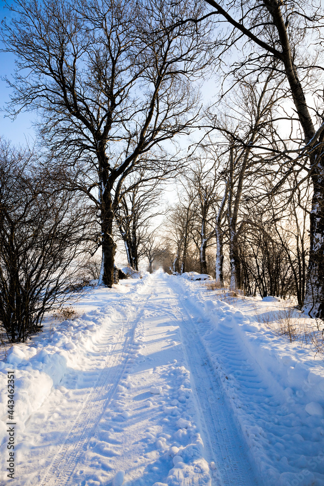 Fototapeta premium traces of the tread of cars