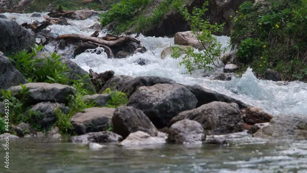 Raging Mountain River Flowing in Beautiful Green Forest. Summer Season and Wild Nature Concept Raging Mountain River Flowing in Beautiful Green Forest. Summer Season and Wild Nature Concept