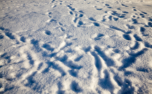 snow with traces