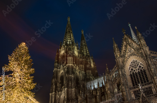 beleuchtete Kathedrale mit beleuchteter Tanne