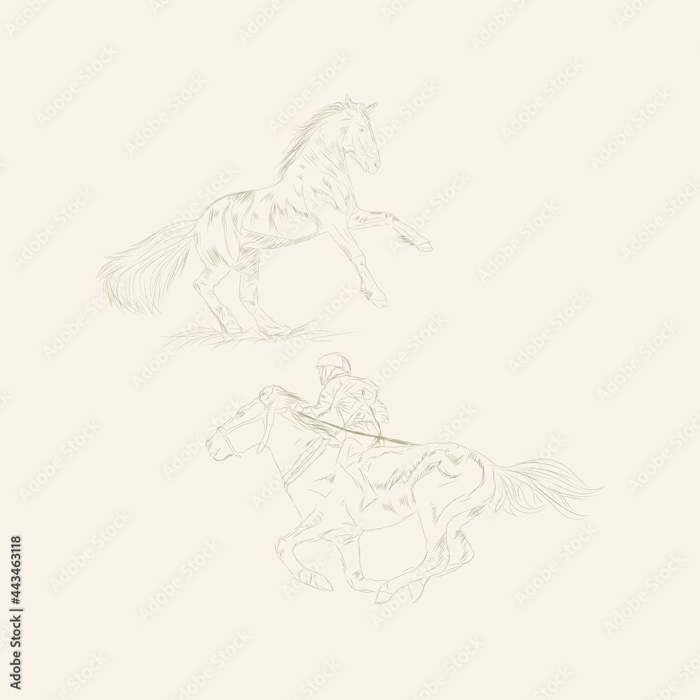 horse racing illustration hand drawing sketch