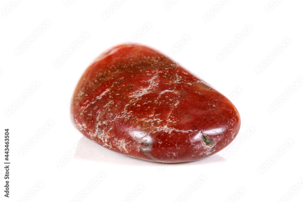 Macro mineral stone jasper on a white background Macro mineral stone jasper on a white background