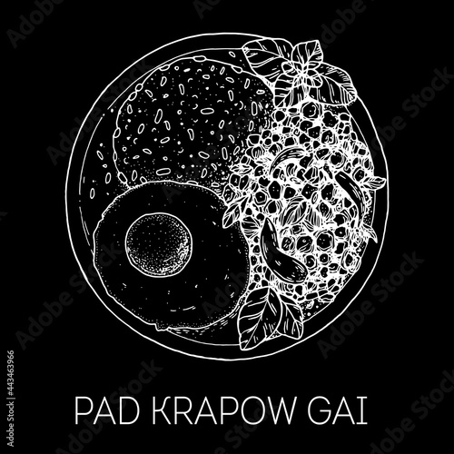 Pad krapow gai, Thai basil and fried egg. Thai food. Hand drawn vector illustration. Sketch style. Top view. Vintage vector illustration.