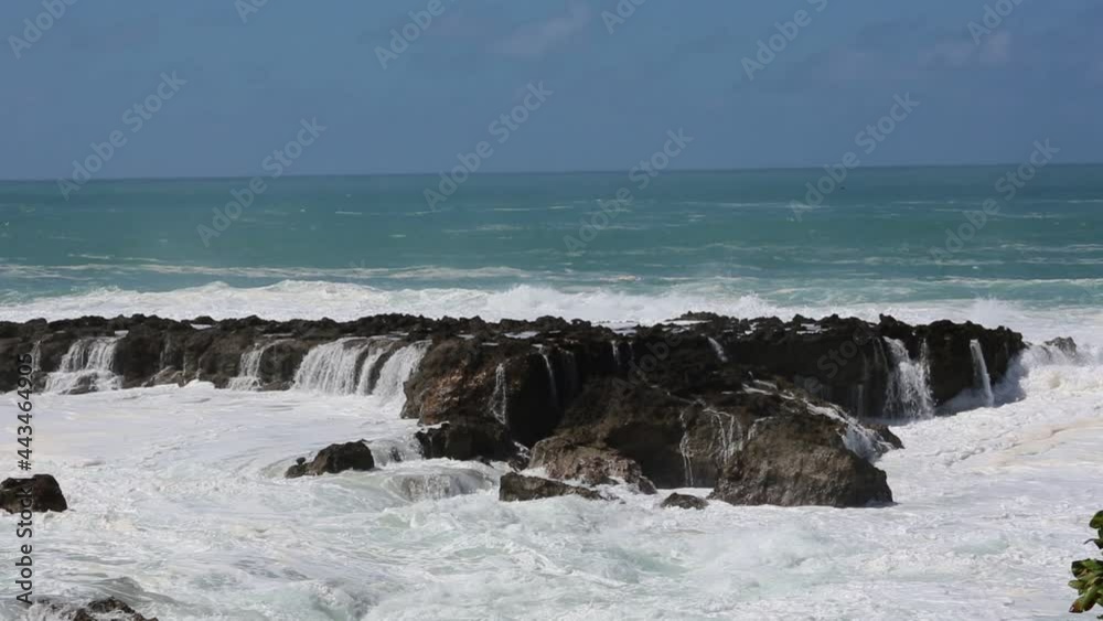 North Shore - Rock on Pacific - Oahu, Hawaii North Shore - Rock on Pacific - Oahu, Hawaii
