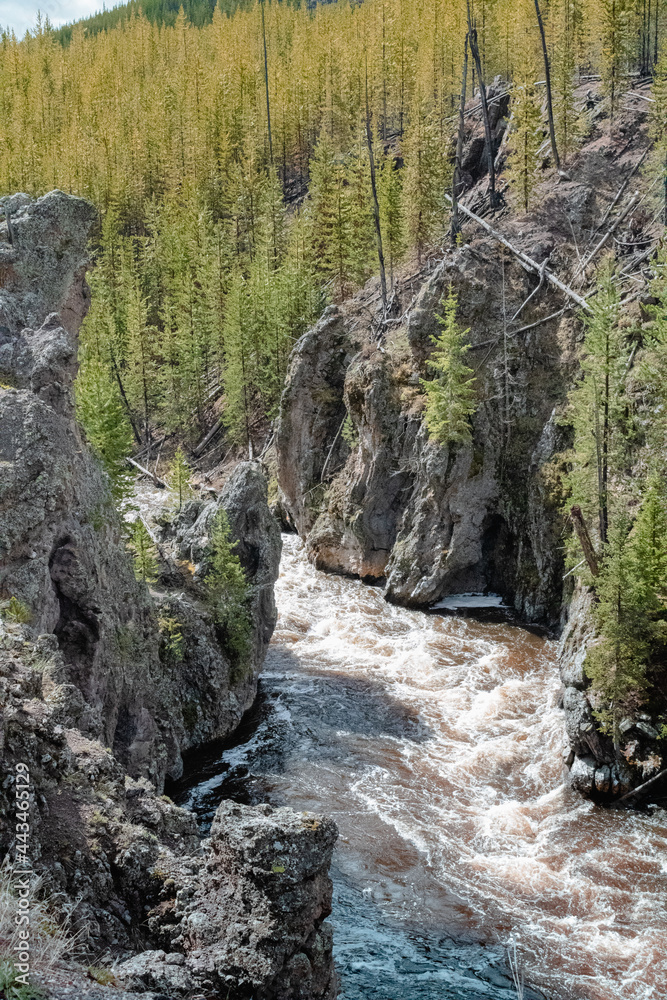 Flowing River through Yellowstone National Park Flowing River through Yellowstone National Park