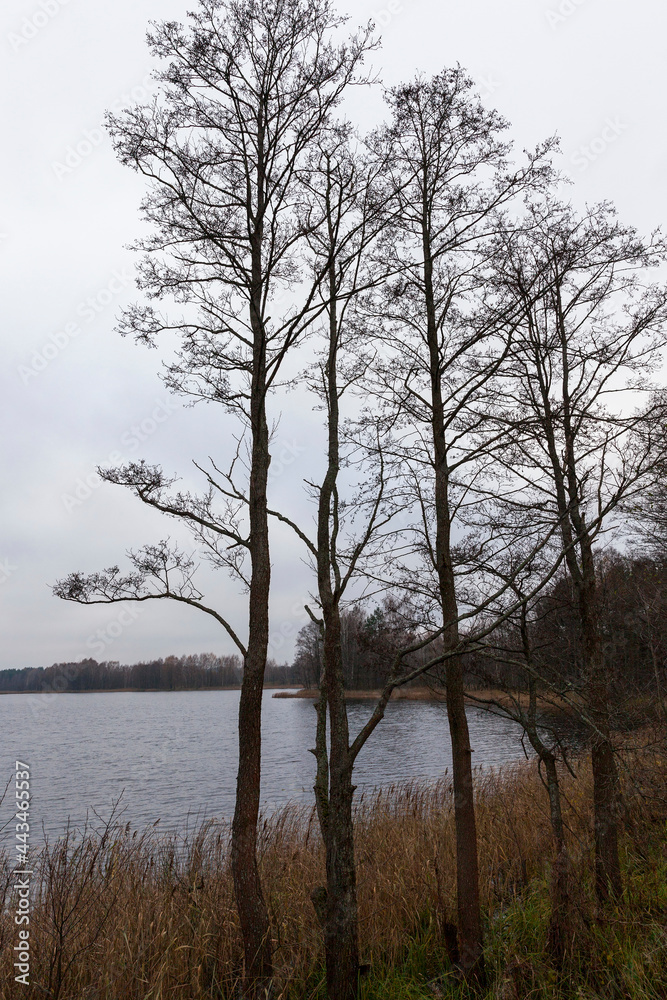autumn landscape near the lake autumn landscape near the lake