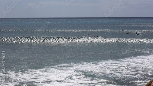 Surfers in Makaha Bay - Oahu, Hawaii photo