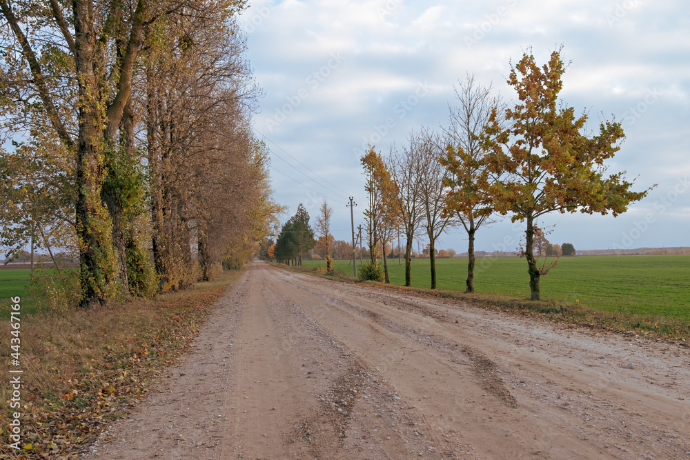Countryside landscape with a road in autumn Countryside landscape with a road in autumn