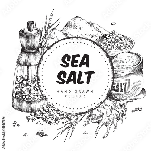Sea salt background with frame for text engraving vector illustration isolated.