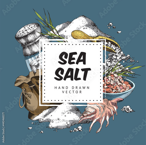 Organic sea salt background hand drawn colored vector illustration isolated.