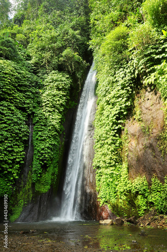 Munduk waterfall in Bali Indonesia with clear white water