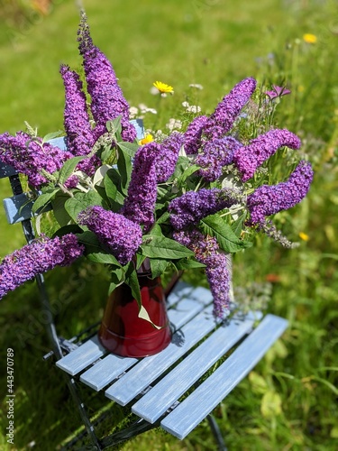 A bouquet of purple buddleia flowers in a garden photo