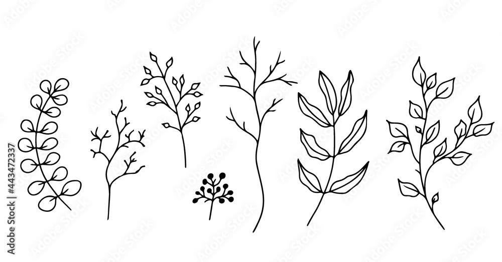 Set of hand-drawn floral elements,doodle plants and branches on a white background. Sketchy elements of design. Vector doodle illustrations.