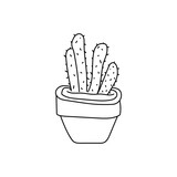 Cactus pot hand drawn design vector isolated on white background