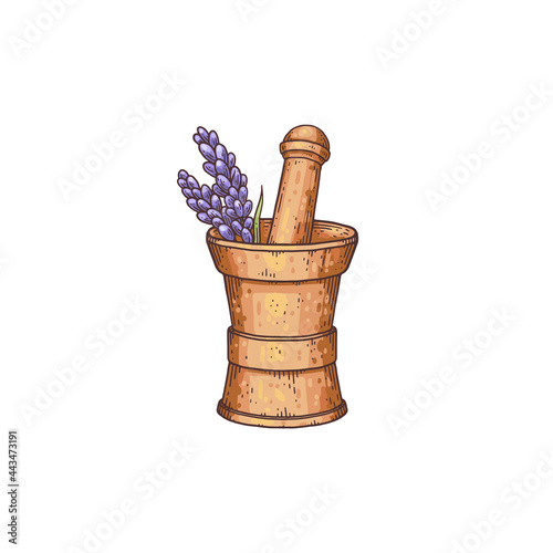 Floral lavender branch in wooden mortar with pestle a color vector illustration.