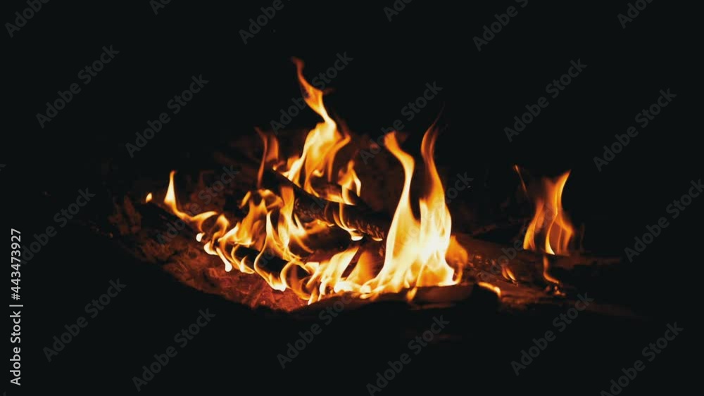 Night Bright Bonfire Burns in Forest. Hot tongues of flame, fire rise upward. Dry branches, sticks burn and smolder in an open fire. Camping. Red glow from fire in pit. Tourism summer. Slow-motion. Night Bright Bonfire Burns in Forest. Hot tongues of flame, fire rise upward. Dry branches, sticks burn and smolder in an open fire. Camping. Red glow from fire in pit. Tourism summer. Slow-motion.