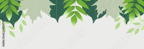 Autumn seasonal banner with leaves hand drawn digital illustration