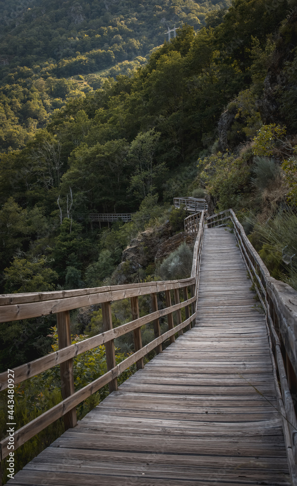 Ribeira Sacra de mucho turismo. Pasarelas del río Mao y el mirador de Matacans. Lugares icónicos de Galicia. El río y la vegetación de la denominación de origen. Naturaleza, paisaje, pasarela, madera.