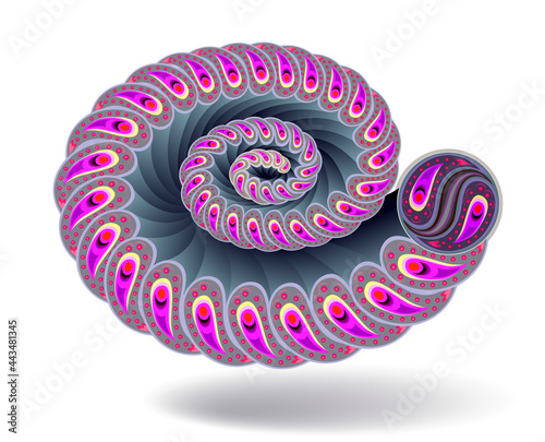 Fantasy illustration of stylized sea shell. Digital drawing of concentric spiral. Modern art mural wallpaper with fractals. Luxurious texture with ornament for background, banner or decoration.