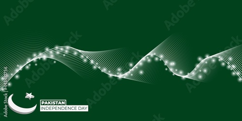 Pakistan Independence Day design with little light design and flying line.