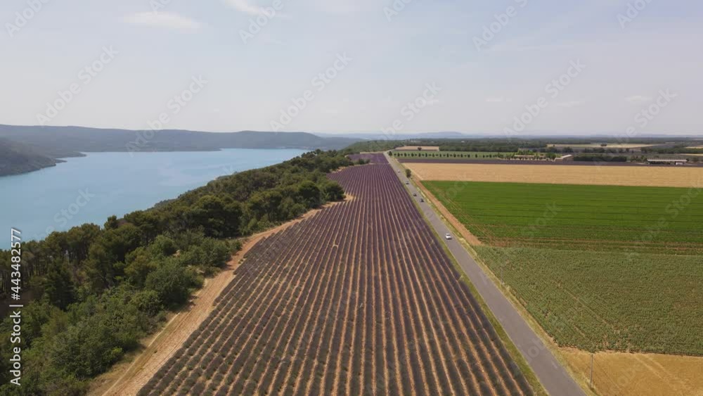 Lac de Sainte-Croix et champs en été - Provence