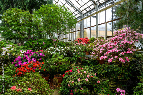 beautiful bright colors of plants. Botanical Garden. beautiful green plants. bright flower.