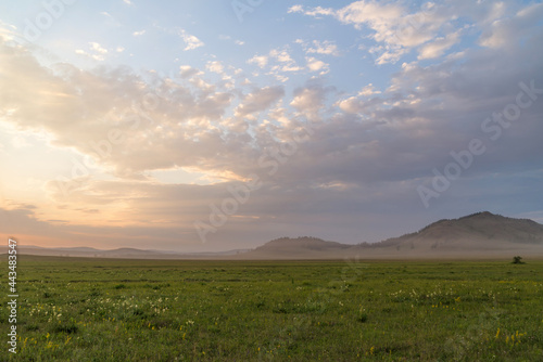 beautiful sunset, evening landscape field and sunset sky in summer. purple clouds and green grass in the meadow, outdoors