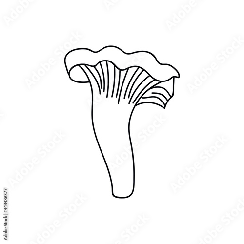 Single hand drawn chanterelle mushroom for autumn decoration. Doodle vector illustration. Isolated on a white background.