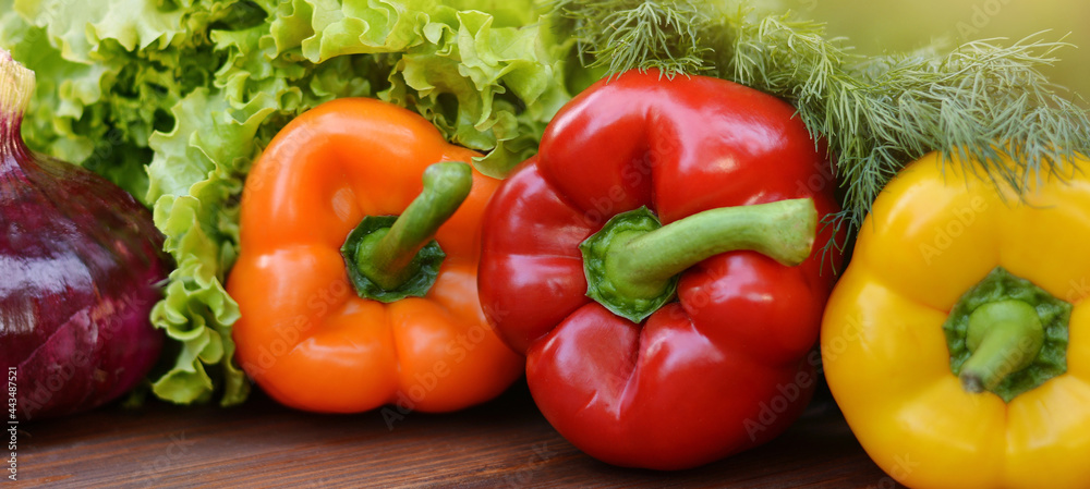Colorful sweet bell peppers, salad, dill, onion on wooden background.Healthy vegetarian food.Vegetarian eating concept Colorful sweet bell peppers, salad, dill, onion on wooden background.Healthy vegetarian food.Vegetarian eating concept