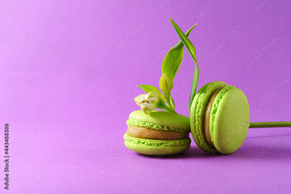 2 green macaroons, a flower on a purple background, 2 green macaroons, a flower on a purple background,