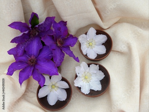 Aromatic procedure. Spa