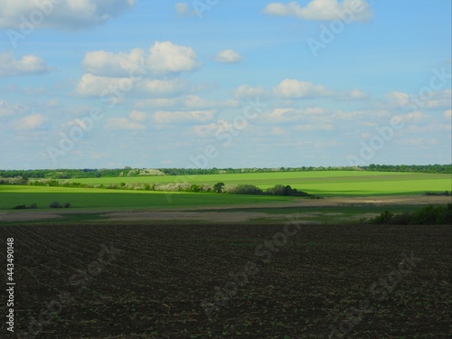 Landscape, horizon