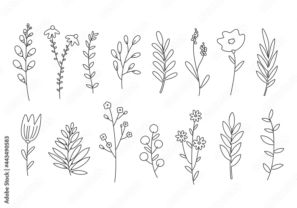 Set of outline сartoon flowers, plants and branches. Set of outline сartoon flowers, plants and branches.