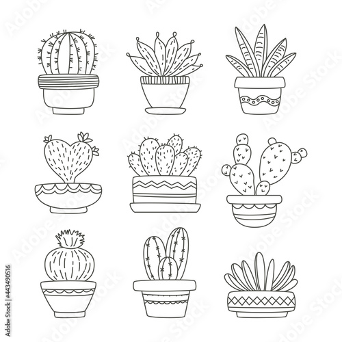 Set of cartoon cacti in cute pots.