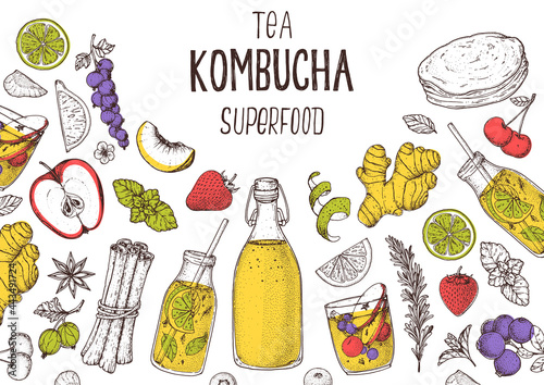 Kombucha tea and ingredients for kombucha sketch. Hand drawn vector illustration. Kombucha drink. Tea mushroom, tea fungus, or Manchurian mushroom.