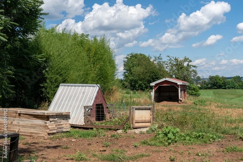 Pig Shelters in Pasture