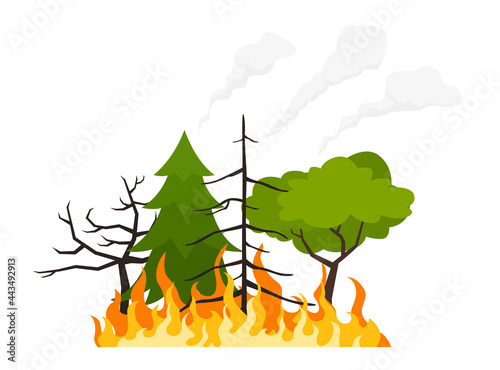 Trees on fire. landscape damage. Nature ecology disaster. vector illustration isolated on white background.