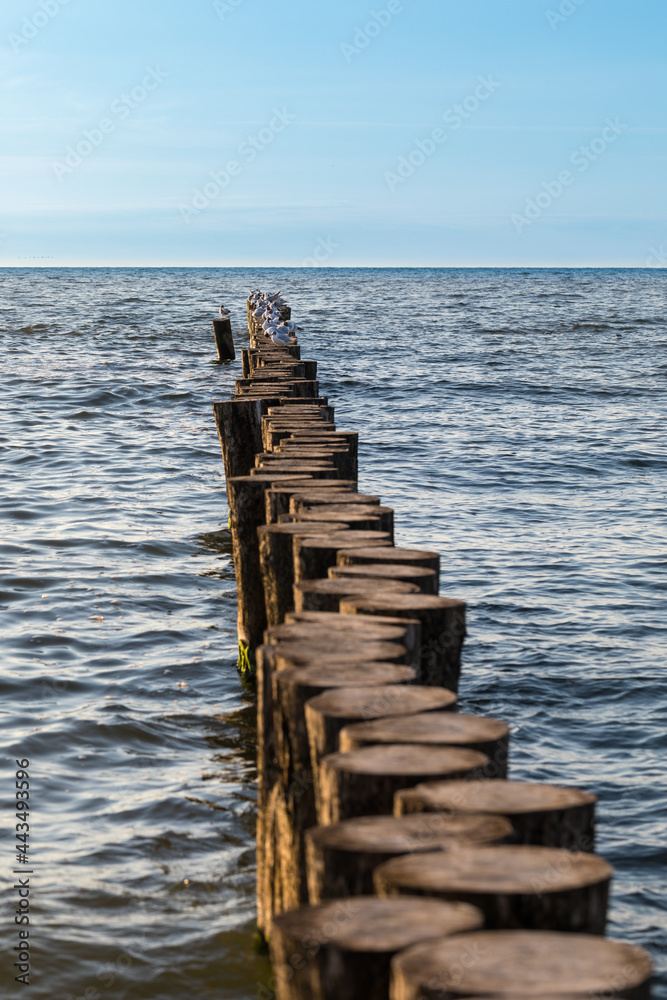 Fototapeta premium baltic sea, breakwater, calm water
